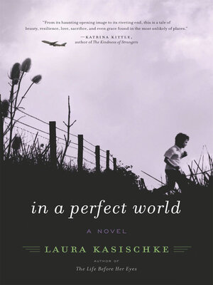 cover image of In a Perfect World